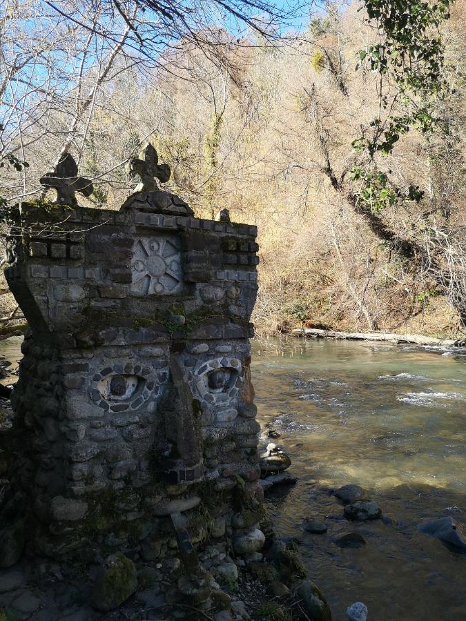 Chambres D'Hotes La Terrasse D'Argein Dış mekan fotoğraf